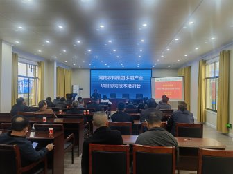 做好產業協同，助力鄉村振興-湖南省農科集團在屈原管理區開展水稻產業項目